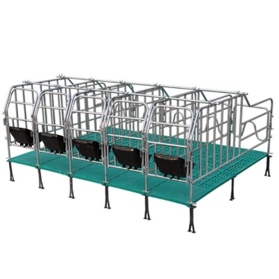 Hot Dip Galvanized Pig Farming Equipment Sows Gestation Crates Pig Cages