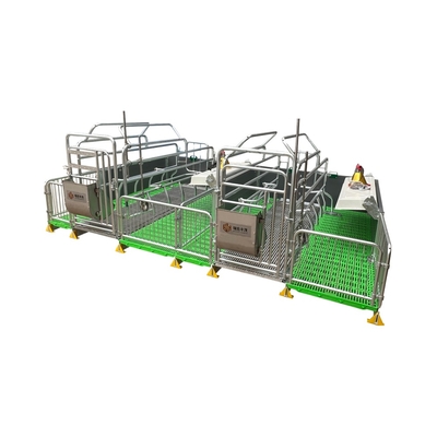 New Farm Equipment Hot Dip Zinc Steel Pipe Material Pig Cage Animal Cage