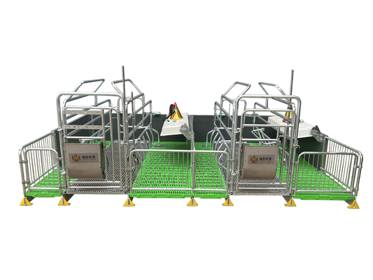 New Farm Equipment Hot Dip Zinc Steel Pipe Material Pig Cage Animal Cage