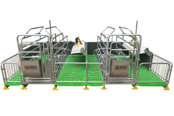 New Farm Equipment Hot Dip Zinc Steel Pipe Material Pig Cage Animal Cage