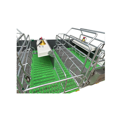 Farm Equipment Hot-dip Galvanized Sow Single Farrowing Beds/crates