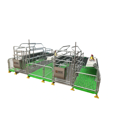 Farm Equipment Hot-dip Galvanized Sow Single Farrowing Beds/crates