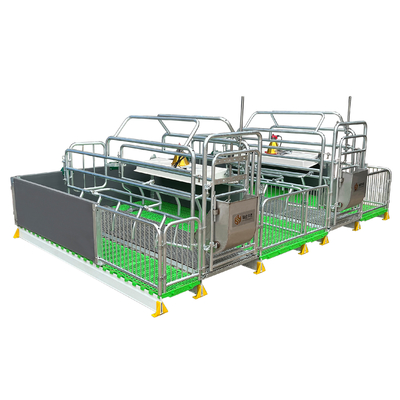 High Quality Pig Farrowing Stalls Pig Bed Sow Birthing Pen Animal Husbandry Equipment
