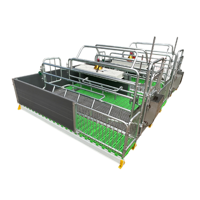 High Quality Pig Farrowing Stalls Pig Bed Sow Birthing Pen Animal Husbandry Equipment