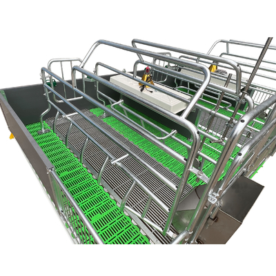 High Quality Pig Farrowing Stalls Pig Bed Sow Birthing Pen Animal Husbandry Equipment
