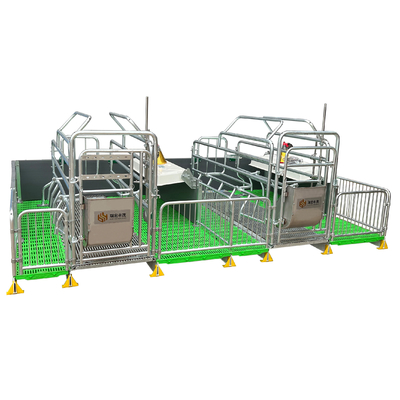 High Quality Pig Farrowing Stalls Pig Bed Sow Birthing Pen Animal Husbandry Equipment