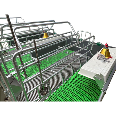 High Quality Pig Farrowing Stalls Pig Bed Sow Birthing Pen Animal Husbandry Equipment