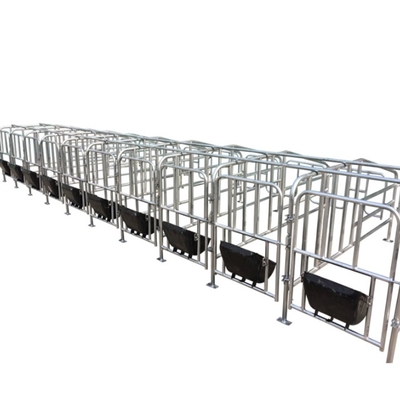 New Design Pigs Gestation Crate for Sows Gestation Stalls Animal Cages
