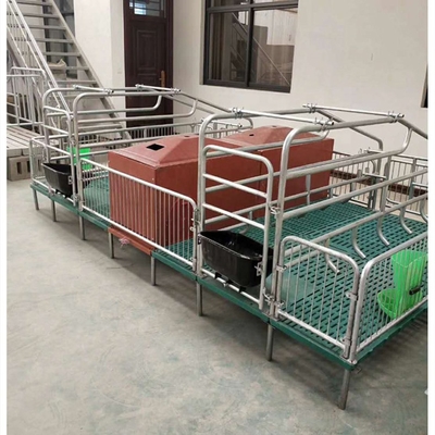 New Design Pigs Gestation Crate for Sows Gestation Stalls Animal Cages
