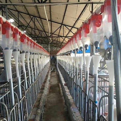 Hot Dip Galvanized Pig Farming Equipment Sows Gestation Crates Pig Cages