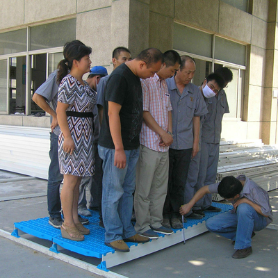 Hot Sale PP Polypropylene Plastic Slatted Slat Floor for Pig Farm Factory Price Dung Leaking Leaky Plate