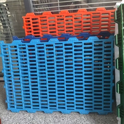 Pig Plastic Slats Flooring Animal Husbandry Equipment for Pig Farm and Other Animals