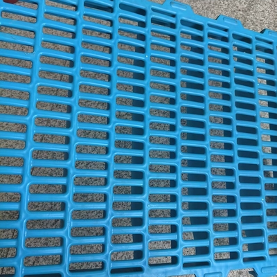 Pig Plastic Slats Flooring Animal Husbandry Equipment for Pig Farm and Other Animals