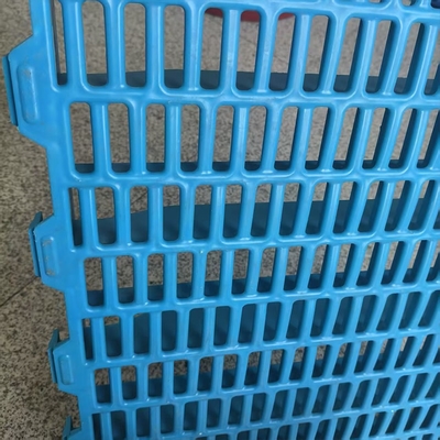 Pig Plastic Slats Flooring Animal Husbandry Equipment for Pig Farm and Other Animals