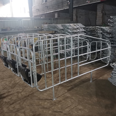 New Design Pigs Gestation Crate for Sows Gestation Stalls Animal Cages