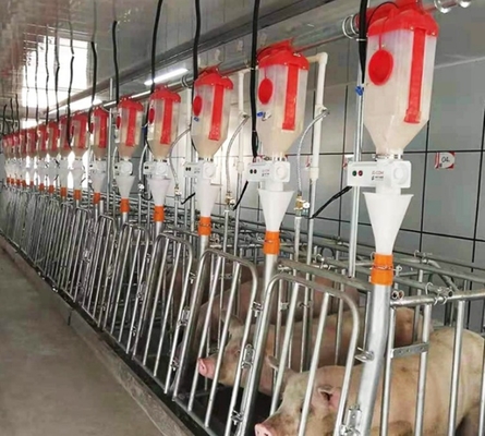New Design Pigs Gestation Crate for Sows Gestation Stalls Animal Cages