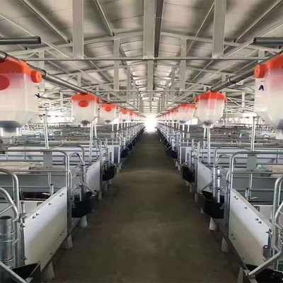 New Design Pigs Gestation Crate for Sows Gestation Stalls Animal Cages